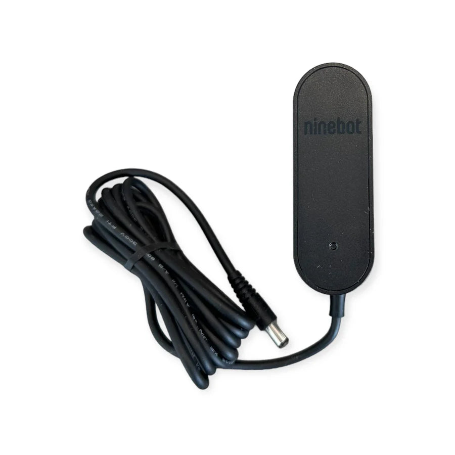 Genuine Electric Scooter Charger For Zing Kids E-scooters E8, E10, E12  25.2V 0.8A